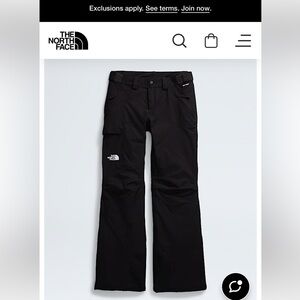 The North Face Freedom Insulated Snow Pant
